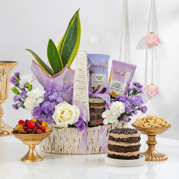 Snake Suberba Plant & Dry Fruits Hamper