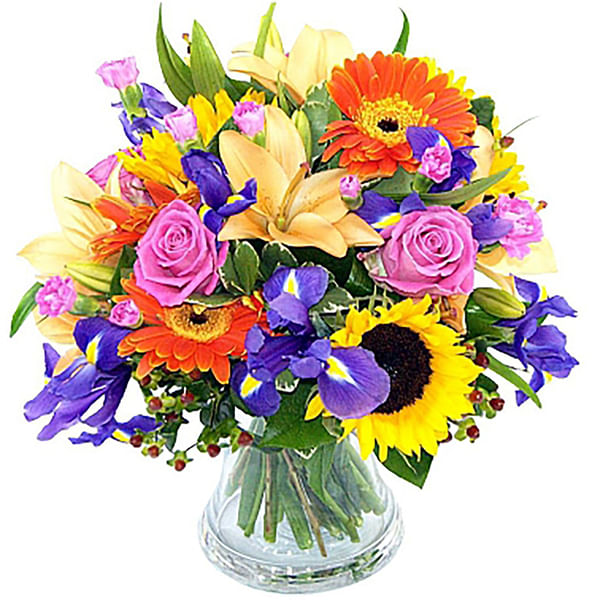 SPRING SURPRISE