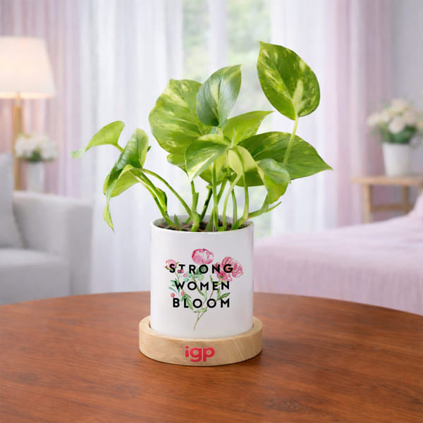 Strong Women Bloom Money Plant