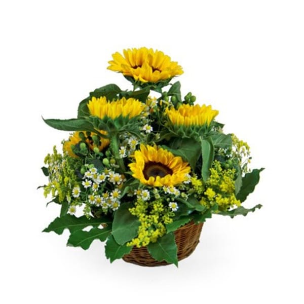 Summer Basket