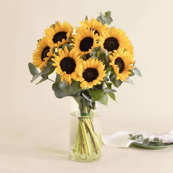 Sunshine