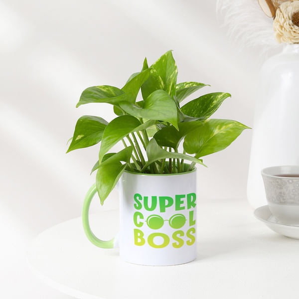 Super Cool Boss - Money Plant In Personalized Mug