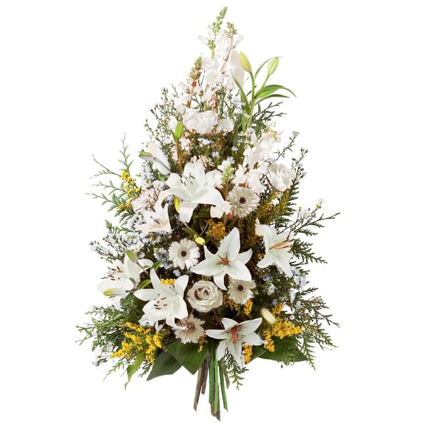 Symphonie blanc