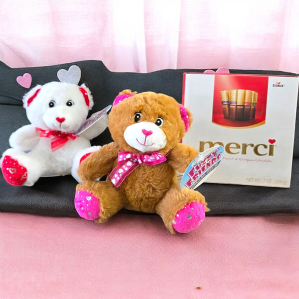 Teddy And Chocolate Bliss Combo