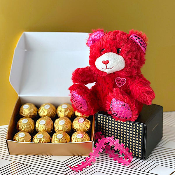 Teddy And Treats Combo