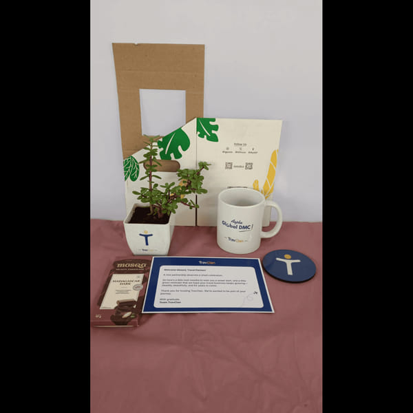 Travclan Hamper (Plant, Mug and Chocolate)