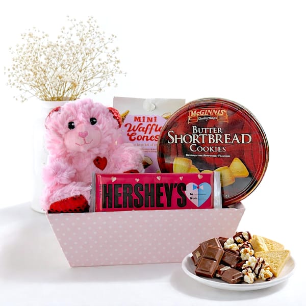 Treats And Cuddles Gift Hamper