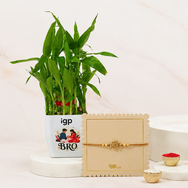 Tree of Life Rakhi and Lucky Bamboo Gift Set