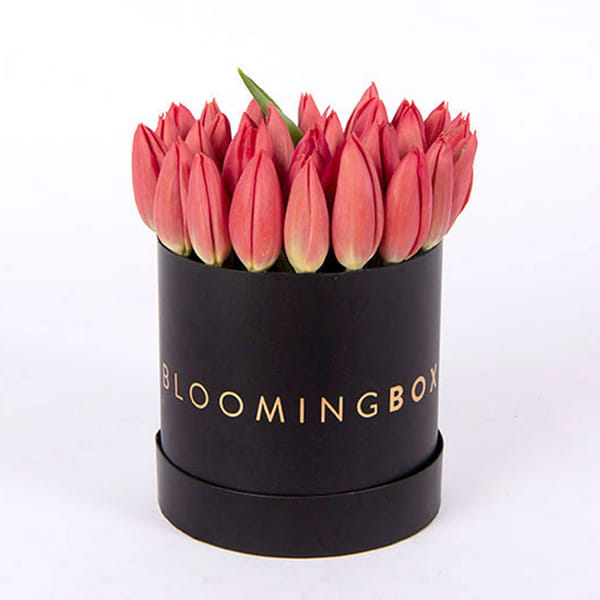 Tulips Box Small
