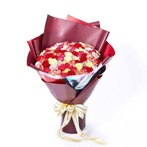 Unconditional Love - 99 Colorful Carnations