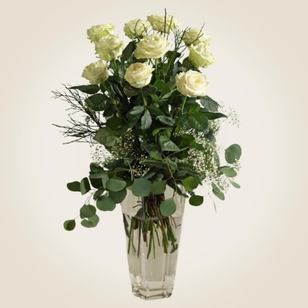 Undici rose bianche medie