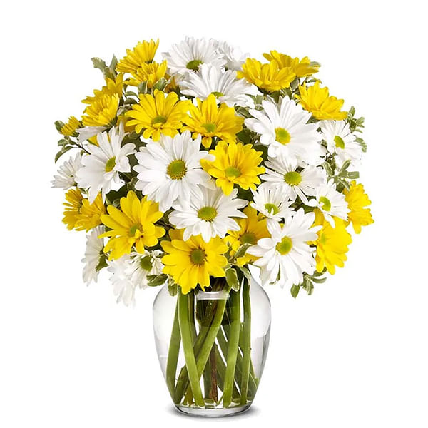 Upsy Daisy