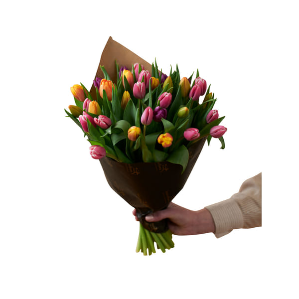 Vibrant Tulips 240119