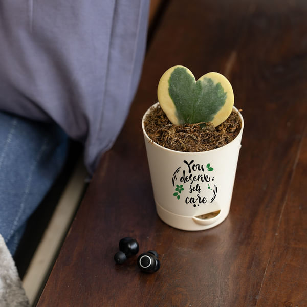 You Deserve Self care Heart Hoya Plant Customized with logo
