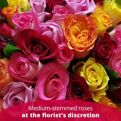 Buy/Send 12 ROSES MEDIUM STEM Online | IGP | ID1194755