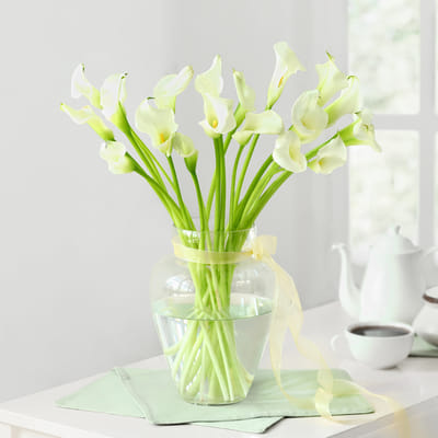 Buy/Send 20 White Calla Lilies in Glass Vase Online | IGP | JVS1275755
