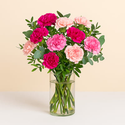 Send Carnations Buy/Send Bouquet of carnations Online | IGP | ID1442854