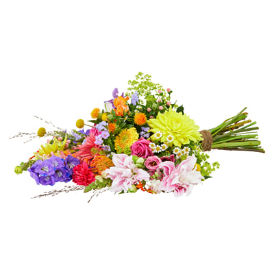 Splendorous Color Buy/Send Colour splendor Online | IGP | NID1393025