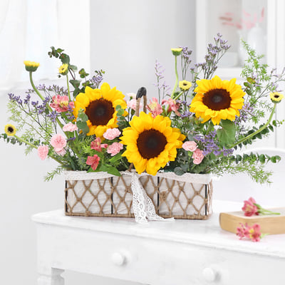 Springery Buy/Send Fields of Sunshine Online | IGP | JVS1275481