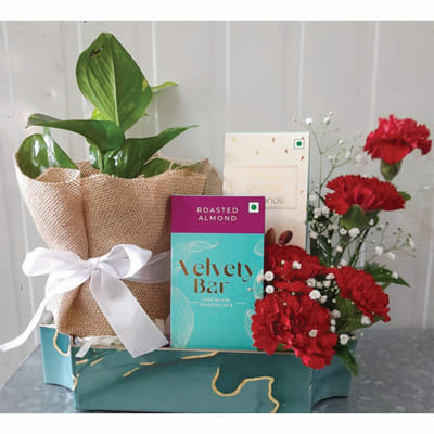 Gourmet Treats in Gift Basket Hamper: Gift/Send Food Gifts Online ...