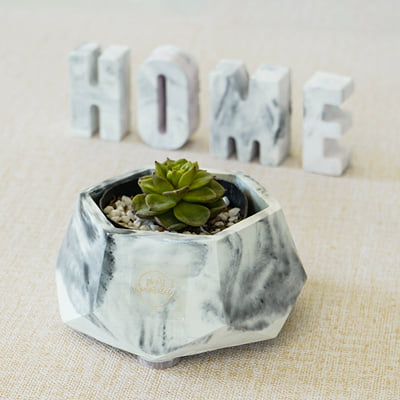Buy/Send Hexagonal Concrete Planter Online | IGP | JVS1232275
