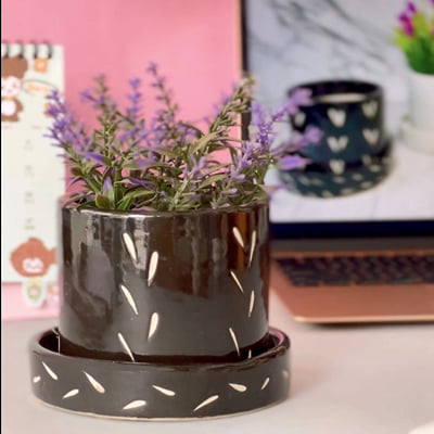 Buy/Send Planter Pot And Plate - Multicolor Online | IGP | JVS1234271