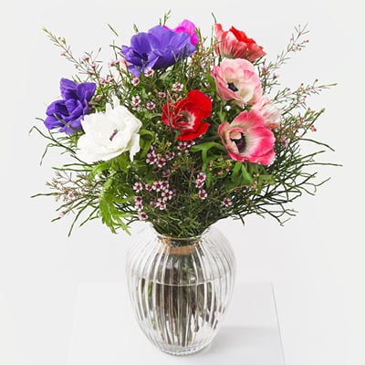 Splendorous Color Buy/Send Splendor of Colour Online | IGP | NID1394621