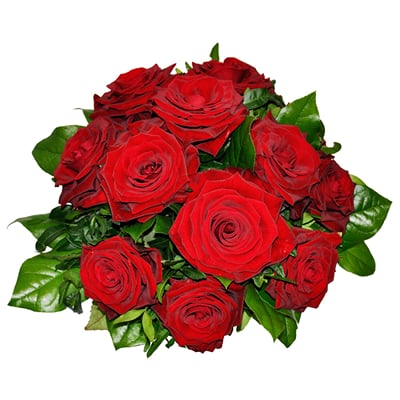 Buy/Send Tantalizing Red Roses Online | IGP | ID1281562