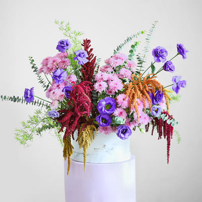 Springery Order Untamed Muse Online at Best Price, Free Delivery|IGP Flowers