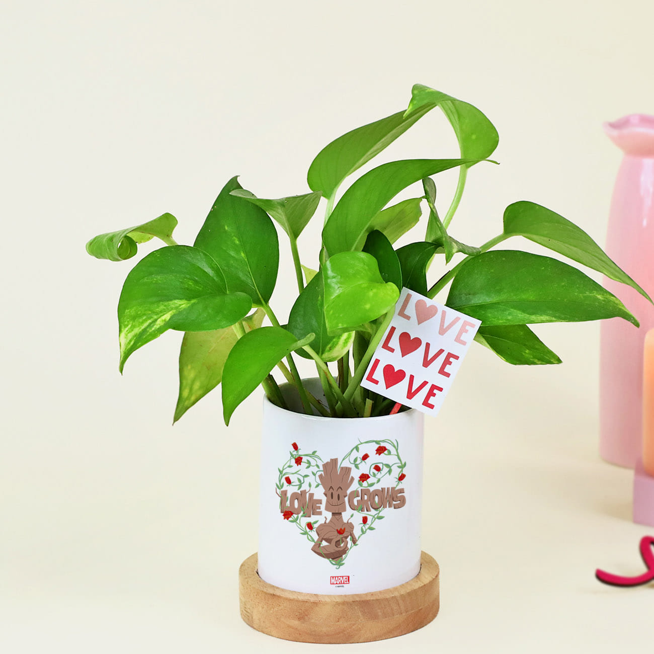 Easy-to-care Money Plant with Personalize Vase
