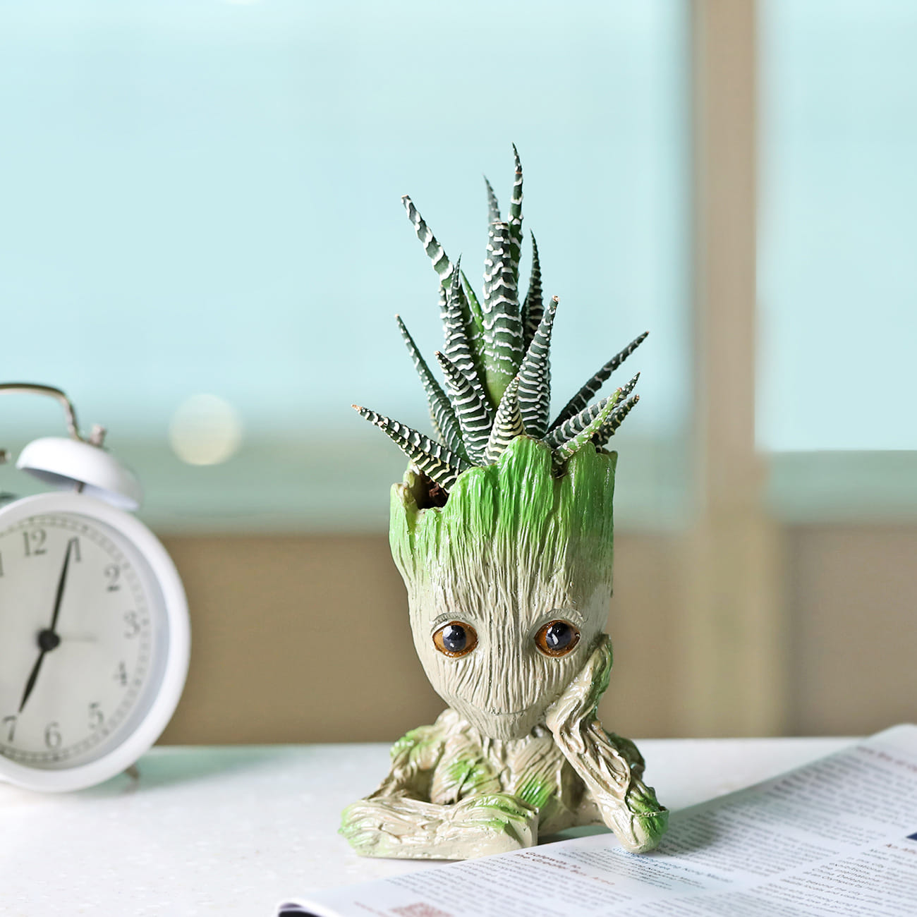 Haworthia Succulent in a Groot Planter