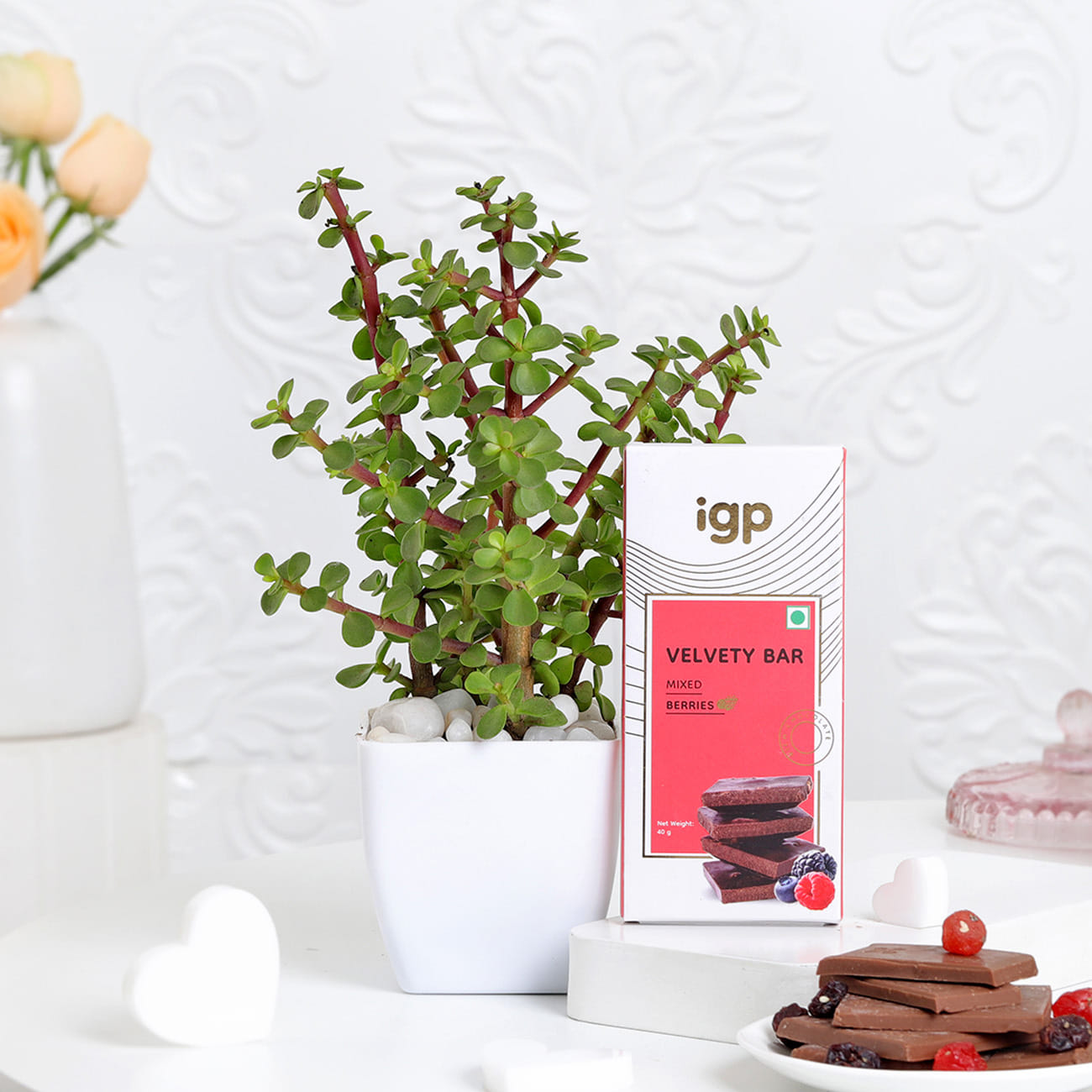 Jade Plant With Pot And Chocolate