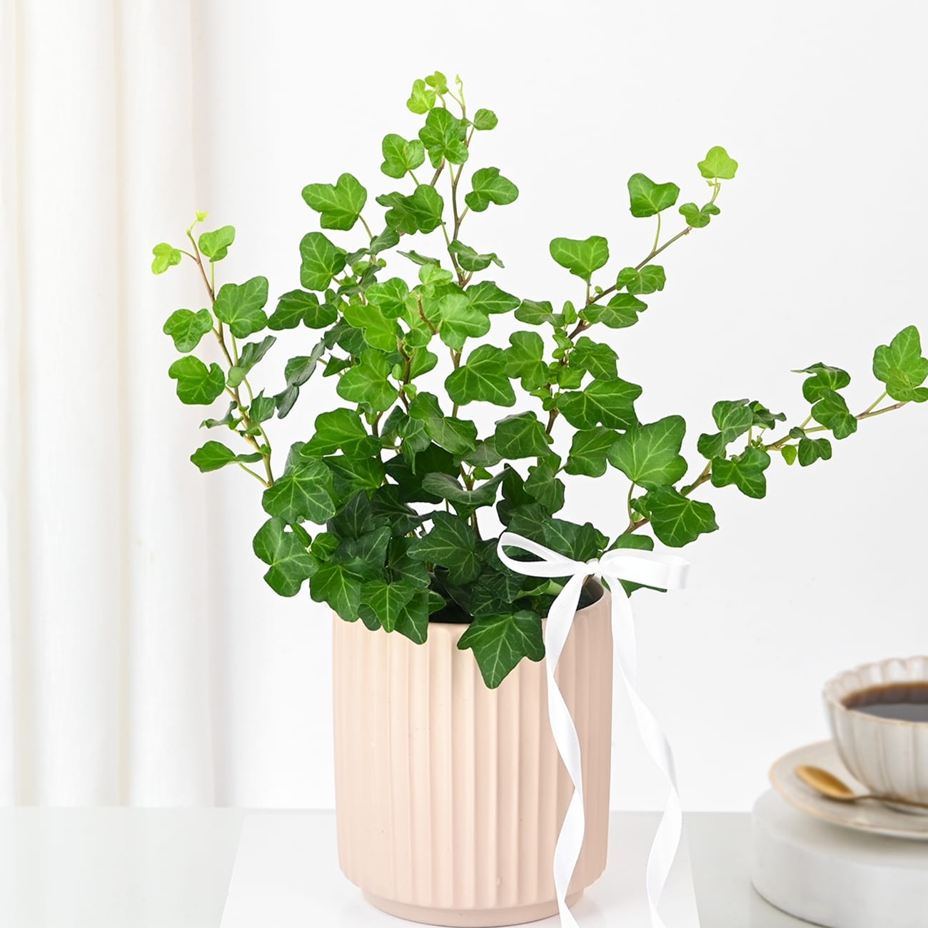 Lush Ivy In Striped Coffee Planter