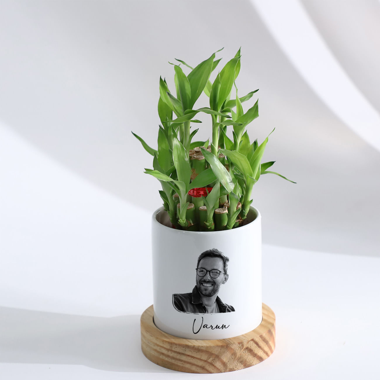 Personalized Bamboo Plant With Planter