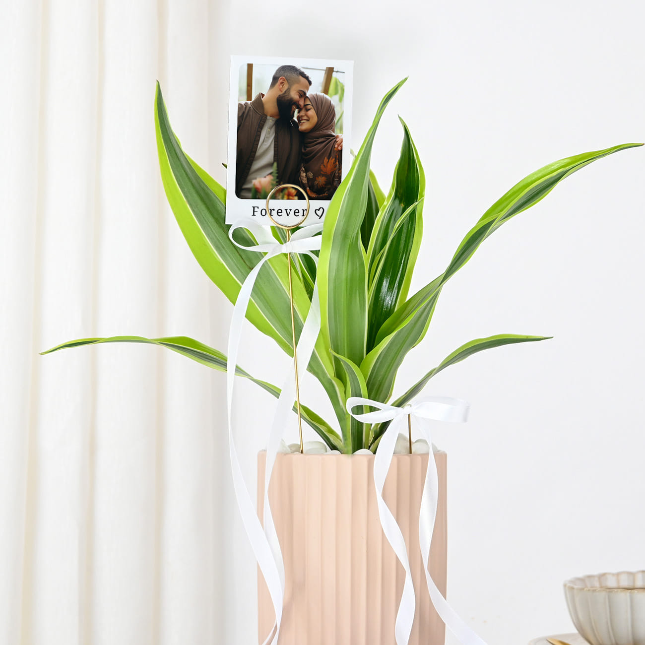 Personalized Dracaena And Fridge Magnet Combo