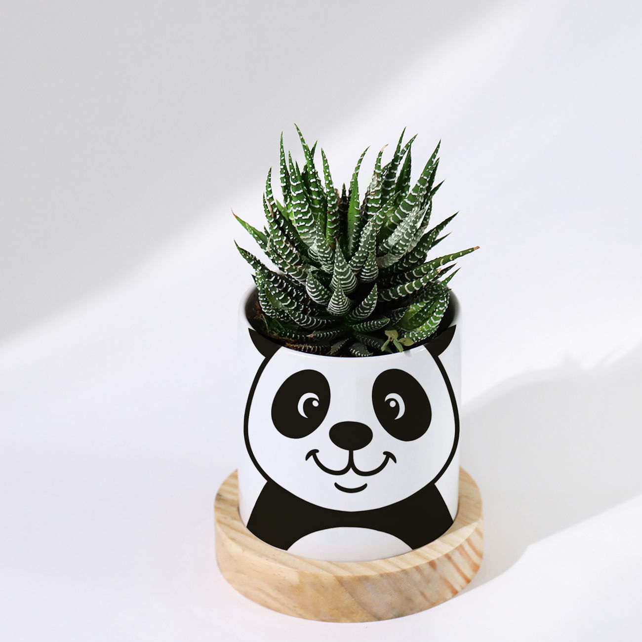 Personalized Panda Ceramic Planter With Haworthia Plant