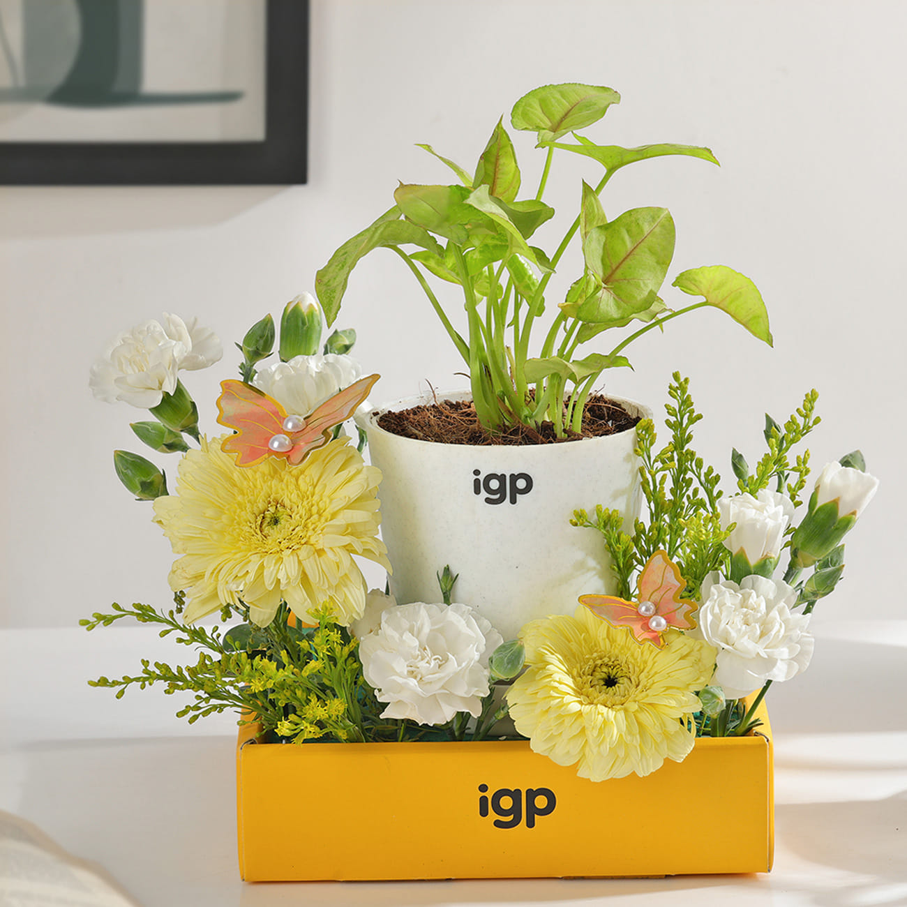 Serene Bloom Plant Arrangement