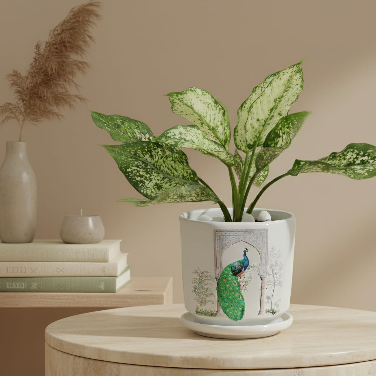 Serene Greens Aglaonema Plant In White Peacock Planter