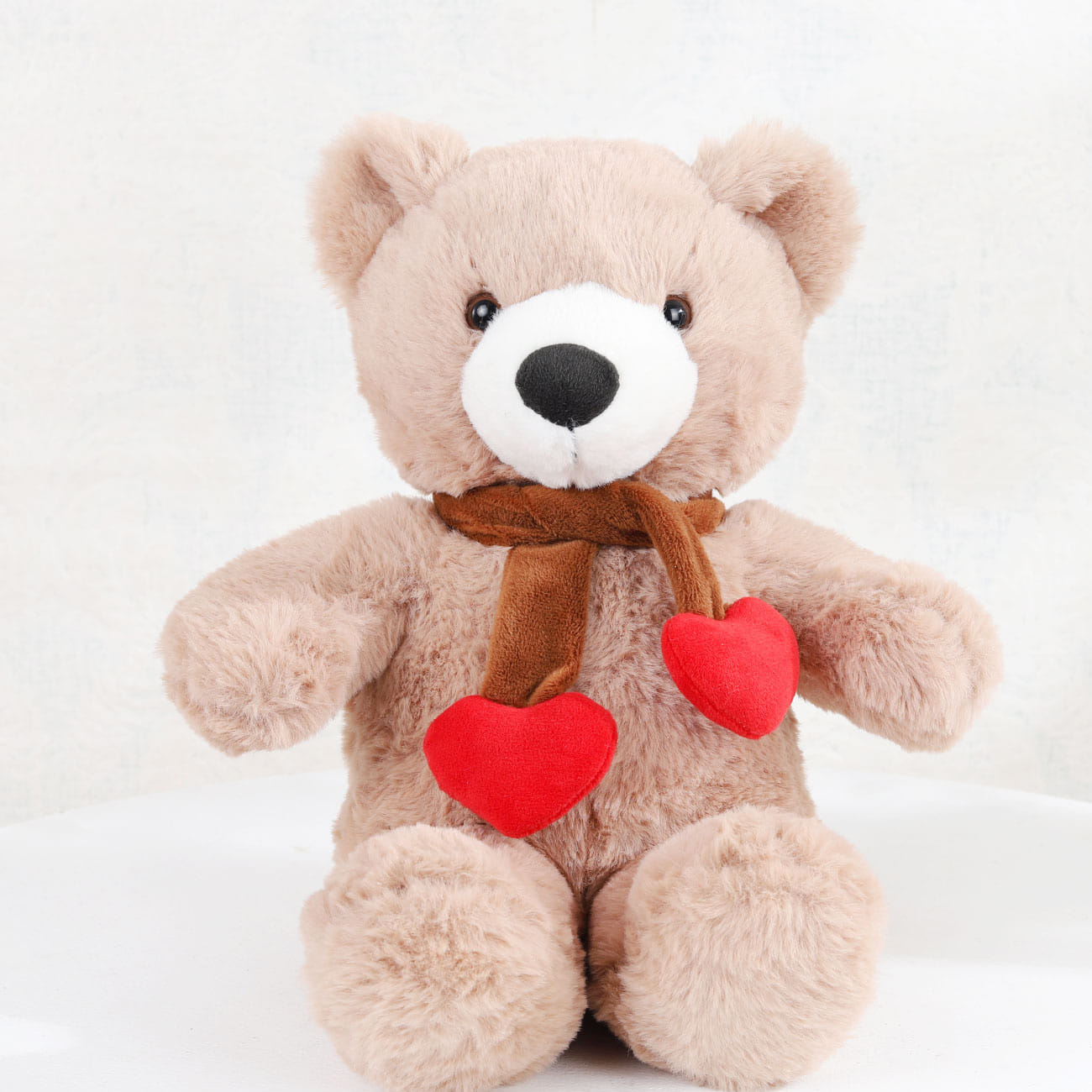 Teddy Bear (10 Inches)