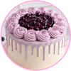 Blueberry Cakes