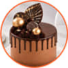 Chocolate Cakes