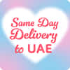 Free Shipping to UAE