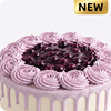 Blueberry Cakes