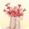 Carnations