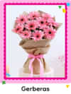 Gerberas Flowers Online