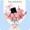 IGP X PALMONAS