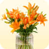 Lilies 