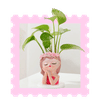 Mother's Day Plants