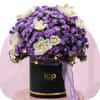 Newly Arrived Flowers