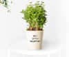 Nurturing Plants by Personality